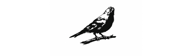 store_logo